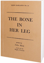 Poetry book by John Mole